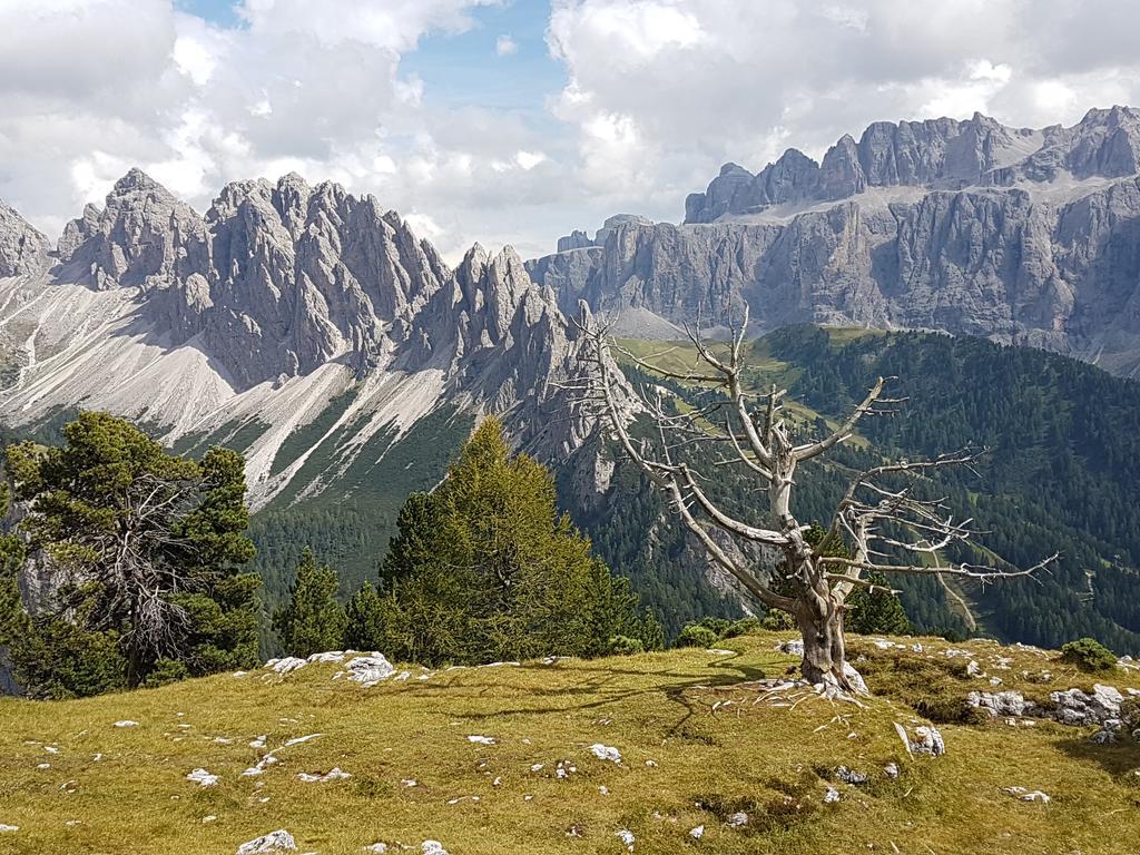Villa Otto Santa Cristina Val Gardena Εξωτερικό φωτογραφία
